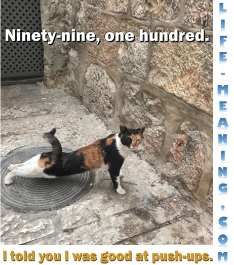 Graphic for above title