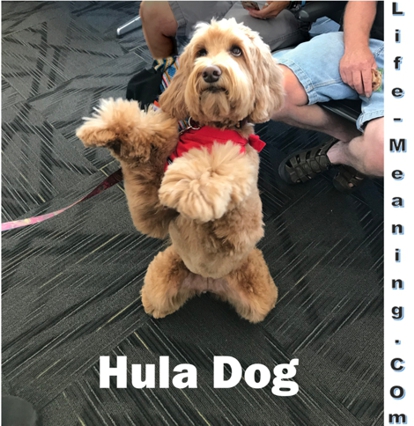 Graphic for above title