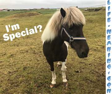 Graphic for above title