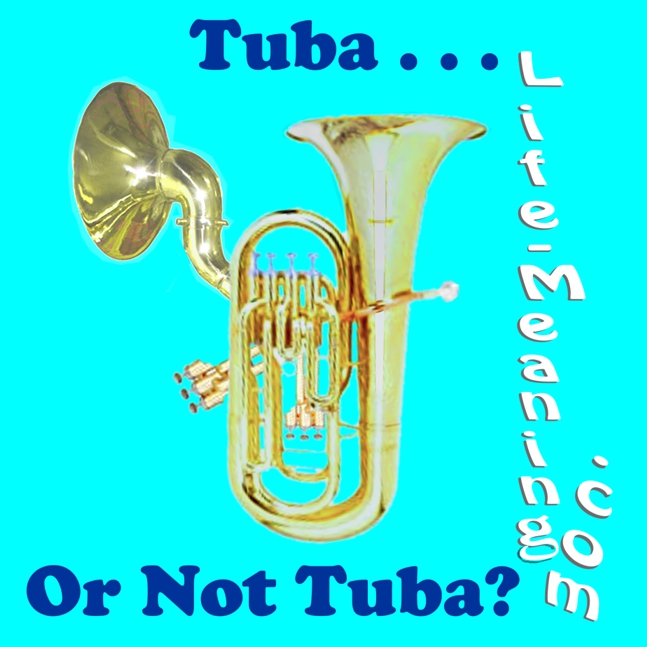 Graphic for above title